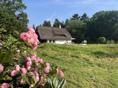 Achtung: Traumhaus zu verkaufen! Jetzt schnell sein! provisionsfrei!