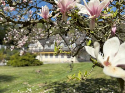 Stilvolle Privatresidenz in traumhafter Alleinlage