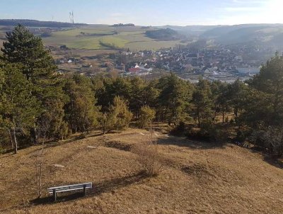 Für Individualisten - modernes EFH mit luxuriöser Innenausstattung in wunderschöner Naturlage