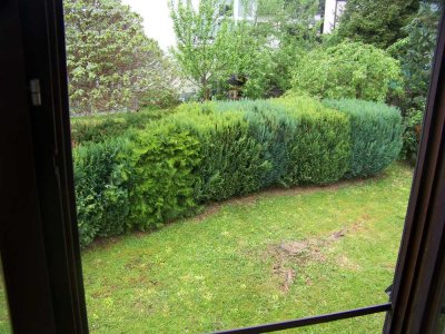 Helle 3 Zimmer-Wohnung, neu renoviert Bad/WC, Fenster neu ,Balkon