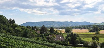 Helles Reihenhaus mit Fernblick und 2 Stellplätzen