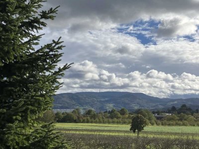Attraktive 3- Zimmerwohnung in ruhiger Lage mit Traumblick