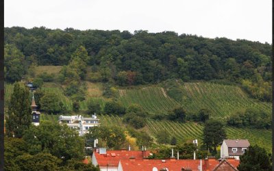 VILLA MIT 4 SZ., 1190 Wien, ERSTBEZUG