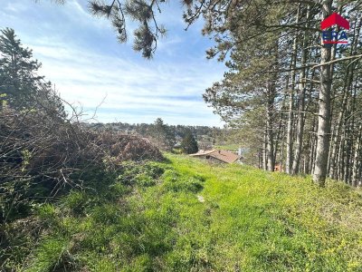 RESERVIERT: Kronberg KAUF - Villa in traumhafter Lage mit großem Grund und Schwimmbiotop