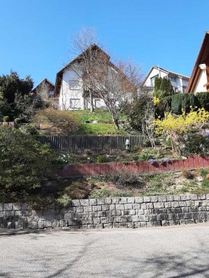 Erstbezug: geräumige 1-Zimmer-Dachgeschosswohnung mit gehobener Innenausstattung