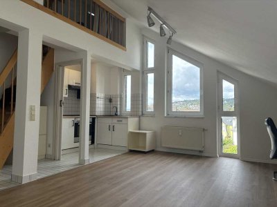 Renoviertes Appartement mit Rheinblick