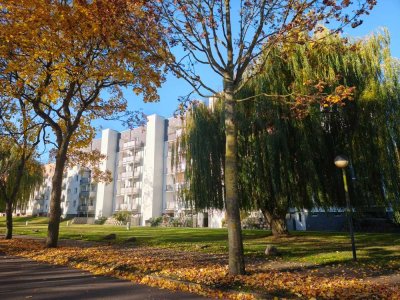 1 Raum Wohnung zu verkaufen