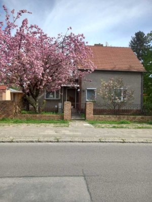 Einfamilienhaus with garden in Berlin-Mahlsdorf