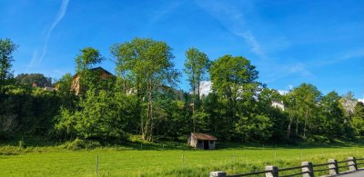 Neuer Preis! Modernisiertes Einfamilienhaus mit ca. 166 m² Wohnfläche, Garten, Garage und Keller