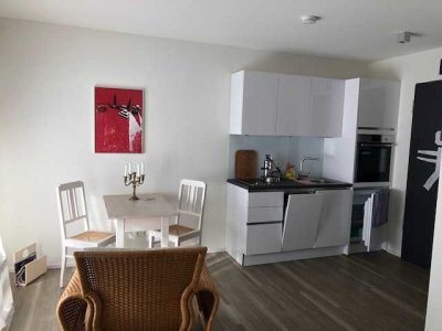 1-Zimmer-Wohnung, großer Balkon, moderne EBK