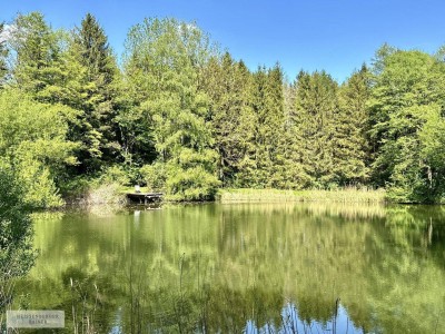 LANDHAUS MIT PARK, WALD UND BADESEE /// 30 MINUTEN VON DER OPER