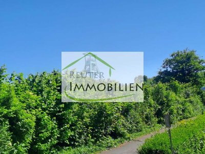 Individuelle 2,5 Zimmer-Wohnung Nähe Bergbaumuseum mit idealer ÖPNV-Anbindungen