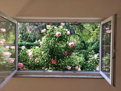 2 Zimmerwohnung, ruhige, zentrale Lage in Stgt-Zuffenhausen