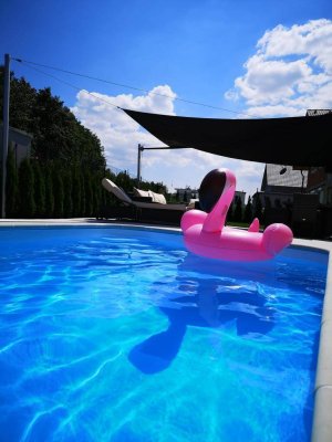 Charmanter Bungalow, Pool, whirlpool, 10kw pva+ Speicher absolute ruhelage in reisenberg