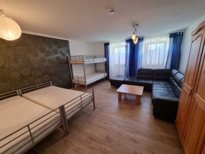 Renovierte 1- Zimmer Wohnung zu vermieten!