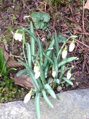 GENIESSEN SIE ERHOLSAMES WOHNEN IM GRÜNEN UND GLEICHZEITIG STADTNÄHE! TEL.: 01714863595