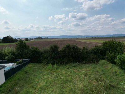Schauernheim-Traumgrundstück mit 300 m², direkte Feldrandlage - Neubau Doppelhaushälfte