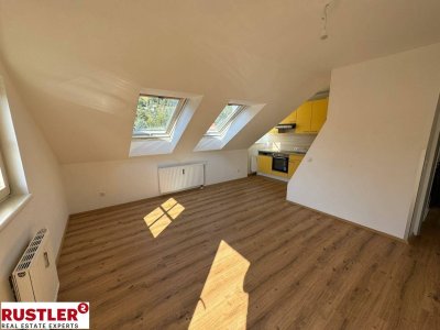 Sanierte Dachgeschosswohnung mit 3 Zimmern I Inklusive Badewanne