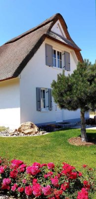 Ruheoase unter Reet. Besonders. Hochwertig. Einzigartig.  Ferienhaus Alana an der Wismarer Bucht.