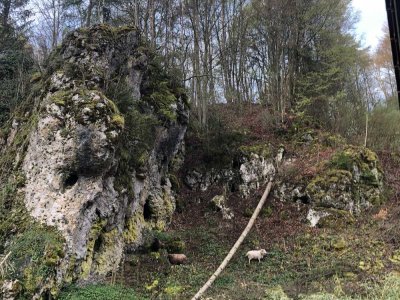 Naturparadies für Handwerker