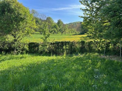 Natur pur - charmantes Holzfachwerkhaus mit herrlicher Aussicht ins Grüne