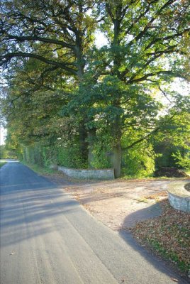 5000m² eigener Garten mit Teich! Exclusive Wohnung am Stadtrand von Osnabrück