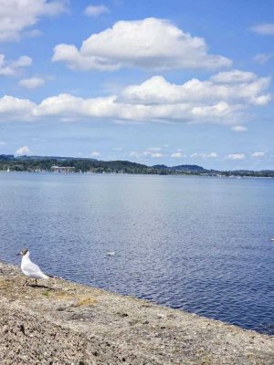 Ihr neues Zuhause am Chiemsee! Geräumige 3-Zi-Wohnung mit großer Terrasse und TG . Ohne Provision!