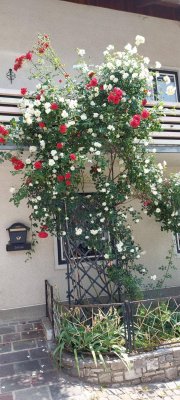 50 qm Wohnung mit Gartenbenützung im Kurort und Luftkurort Bad Eisenkappel