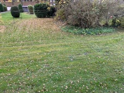 100m Sackgasse, Zone 30 Km/h, modern, Hochparterre,  oder vermieten?