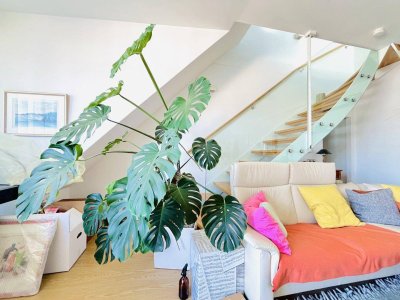 Exklusive Dachgeschoss-Maisonette mit großzügiger Terrasse im Herzen von St. Pölten