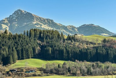 Sonniger Rückzugsort am Waldrand des Astberges (06555)