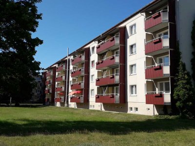 3-Raum-Wohnung in  Torgelow