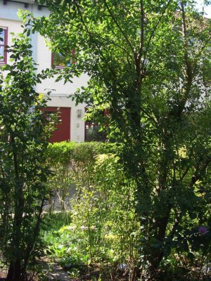 Helle, geräumige 2-Zimmer-Gartenwohnung in Seeheim-Jugenheim