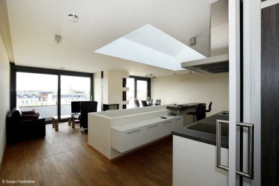 EXKLUSIVE WOHNUNG MIT KAMIN, AUFZUG & S/W - DACHTERRASSE !