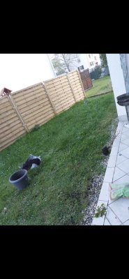 Nachmieter gesucht! Zentral & mit eigenem Garten!