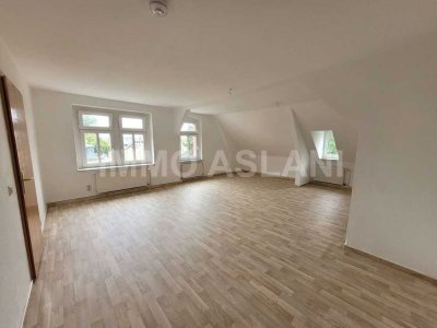 3-Raum Wohnung stylische Wohnung mit Charme und Stadtparkblick in Limbach-Oberfrohna