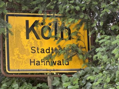 Großes Traumgrundstück mit Architektenvilla