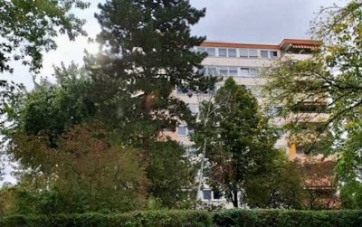 Penthousewohnung mit Panoramablick & Einzelgarage in Mannheim-Käfertal: 3,5 ZKBB, kernsaniert