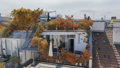 Dachgarten/terrasse mit Blick über Wien I Johann Strauß Gasse I Stellplätze im Haus verfügbar I