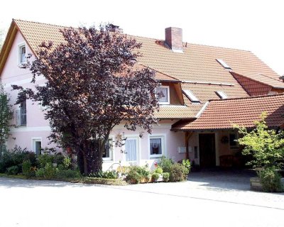 teilmöblierte EG-Wohnung mit zweieinhalb Zimmern, mit Balkon / EBK