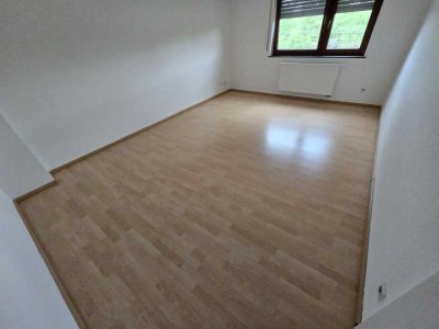 schöne 1-Zimmer-Wohnung in Mannheim-Rheinau