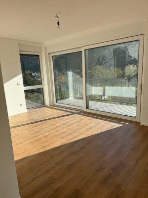 Moselblick Doppelhaushälfte, Neubau, 5 Zimmer, Garage, Stellplätze uvm.