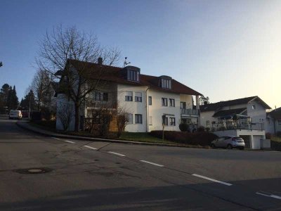 Schöne 3-Zi Whg in Pa-Grubweg, Süd-Ost mit gr. Balkon