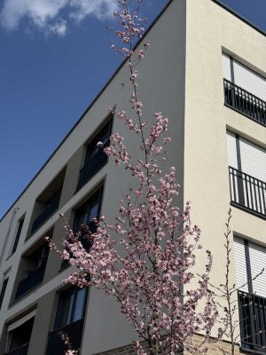 Komfortables Wohnen auf 102,7 m² mit 3 Zimmern in Nürnberg