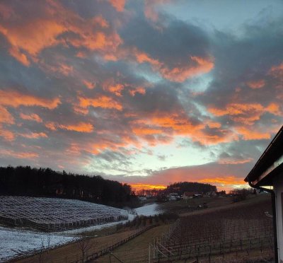 Neubau Bungalow mit wunderschönem Aussicht