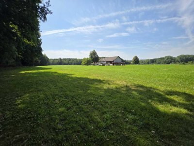 Haus mit 17.611 m² Grund - Pferdekoppel möglich