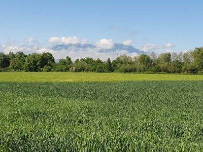 Sie suchen Ruhe und Entspannung! Ruhig gelegene Doppelhaushälfte zu verkaufen