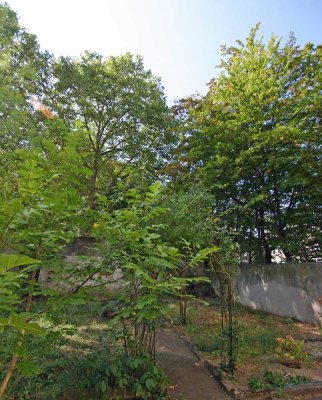 1 Zimmer Appartement mit Wohnküche, neuer Einbauküche