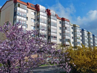 Sanierte 2-Raum-Wohnung im Zentrum mit Aufzug