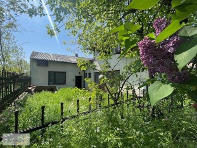 Wohnhaus mit großem Grund im Herzen von Neusiedl a.S.
